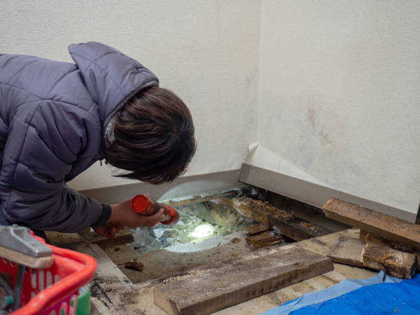Best Crawl Space Mold Remediation  in North Lauderdale, FL