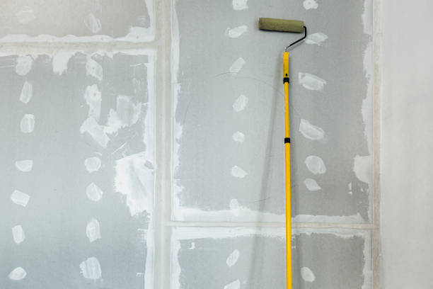 Best HVAC Mold Inspection and Cleaning  in North Lauderdale, FL
