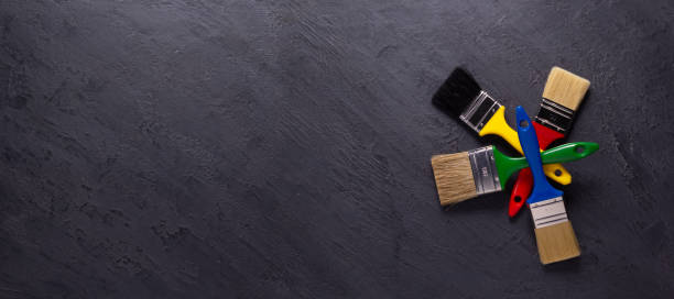 Best Basement Mold Removal  in North Lauderdale, FL