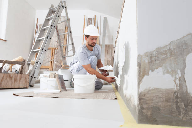 Biohazard Mold Removal in North Lauderdale, FL