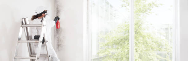 Best Water Damage & Mold Remediation  in North Lauderdale, FL