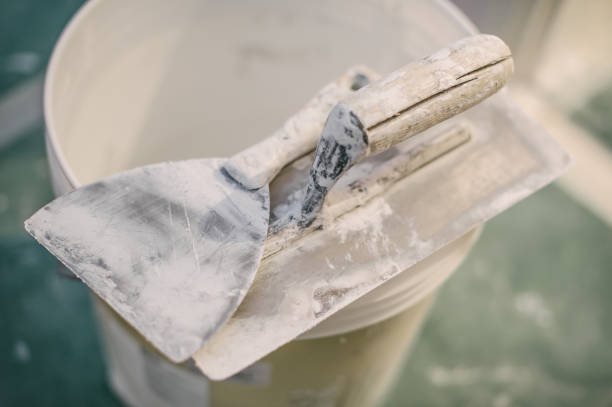 Best Post-Construction Mold Inspection  in North Lauderdale, FL